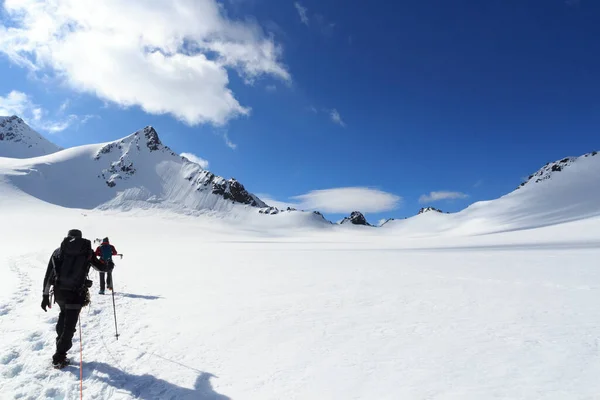 Rope team mountaineering with crampons on glacier Taschachferner towards Wildspitze and mountain snow panorama with blue sky in Tyrol Alps, Austria