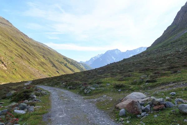 Mountain Panorama Hiking Path Tyrol Alps Austria — 스톡 사진