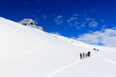 Halat ekibi buzul Taschachferner üzerindeki kramponlarla dağcılık yapıyor Wildspitze 'ye doğru ve Avusturya' nın Tyrol Alps şehrinde mavi gökyüzü olan dağ kar panoramasına doğru.