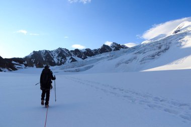 Halat ekibi buzul Taschachferner üzerindeki kramponlarla dağcılık yapıyor Wildspitze 'ye doğru ve Avusturya' nın Tyrol Alps şehrinde mavi gökyüzü olan dağ kar panoramasına doğru.