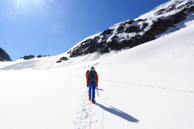 İp ekibi, buzul üzerinde kramponlarla Sexegertenferner 'a doğru Sexegertenspitze ve Avusturya' nın Tyrol Alps şehrinde mavi gökyüzü ile dağ kar panoramasına tırmanıyor.