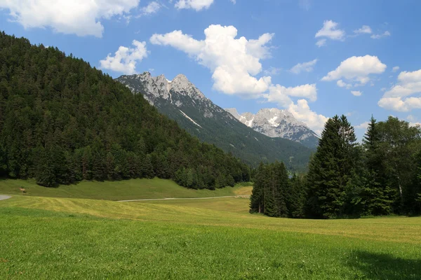 Wild Kaiser mountains — Stock Photo, Image