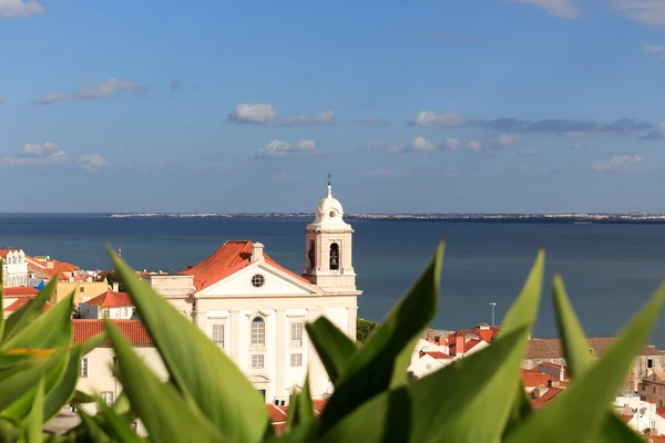 Prohlédni si na kostel Igreja de Santo Estevao od Miradouro Santa Luzia — Stock fotografie