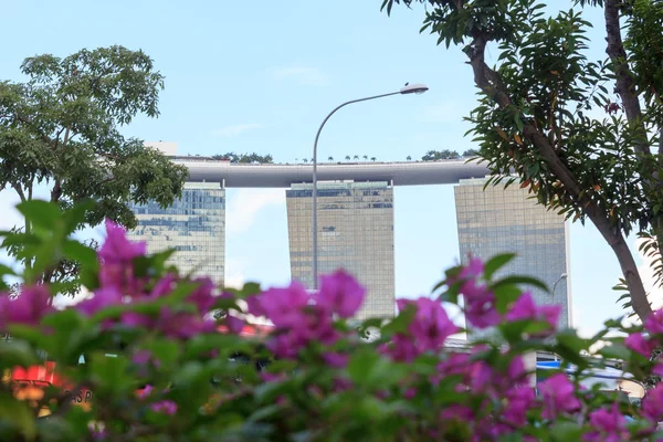 Orkidéer och Marina Bay Sands hotel, Singapore — Stockfoto