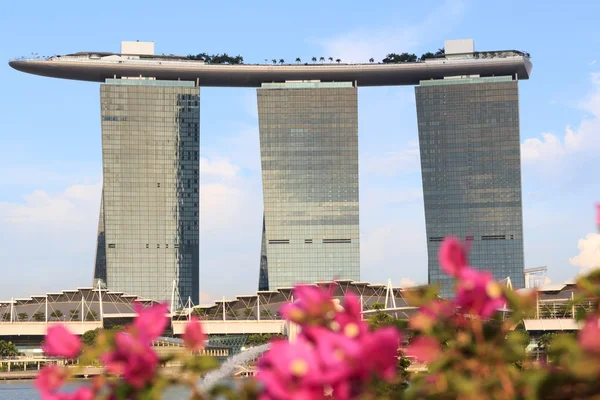 Orchideeën en Marina Bay Sands hotel, Singapore — Stockfoto