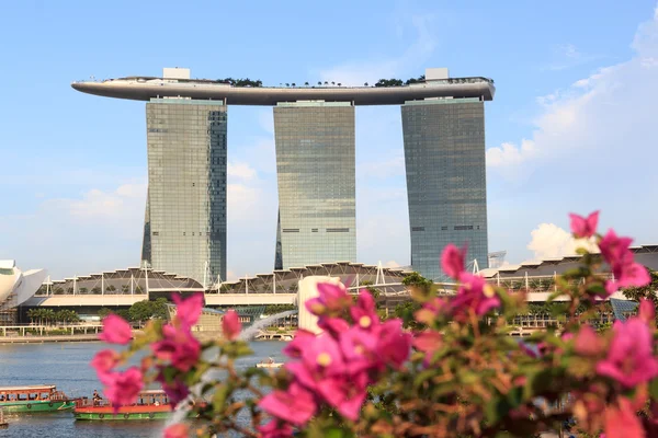 Orchideje a Marina Bay Sands hotel, Singapur — Stock fotografie