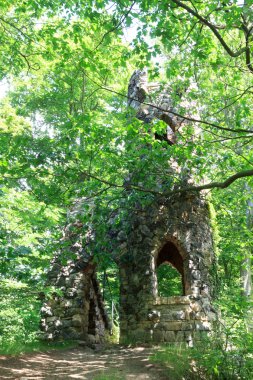 Kale harabe Schömberg içinde Bad Schandau, Sakson İsviçre