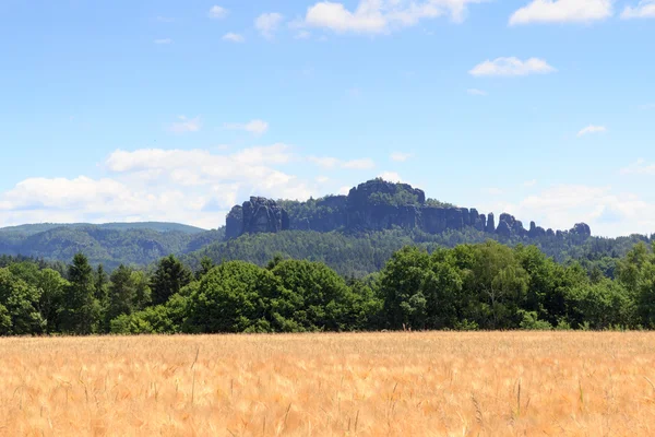 Felsgruppe Schrammsteine und Falkenstein mit Getreidefeld und blauem Himmel in der Sächsischen Schweiz — Stockfoto