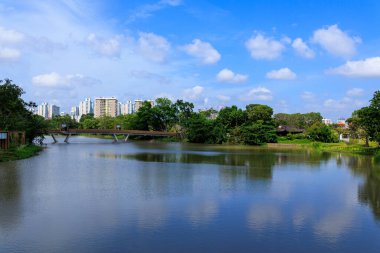Jurong Lake Gardens ve Singapur 'daki Çin Bahçesi ile Japon Bahçesi' ni birbirine bağlayan Ay Doğumu Köprüsü manzaralı panorama.