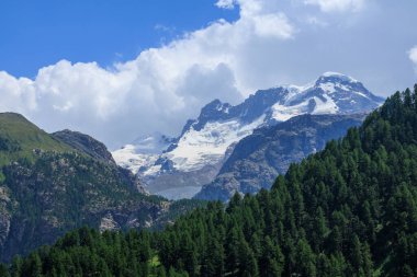 Zirveli dağ manzarası Castor, Pollux ve Breithorn (soldan sağa) ve İsviçre Alplerinde Zermatt yakınlarında ağaçlar, Valais, İsviçre kantonu