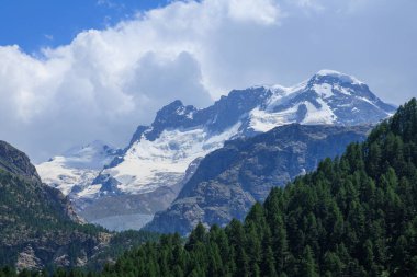 Zirveli dağ manzarası Castor, Pollux ve Breithorn (soldan sağa) ve İsviçre Alplerinde Zermatt yakınlarında ağaçlar, Valais, İsviçre kantonu