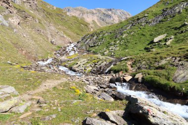 Hohe Tauern Alps, Avusturya için dağ manzara patika ve taş köprüsü