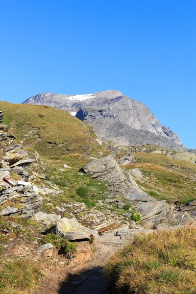 Ледниковая панорама с горной палочкой в Hohe Tauern Alps, Австрия — стоковое фото