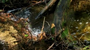  Stream akışı görünümü