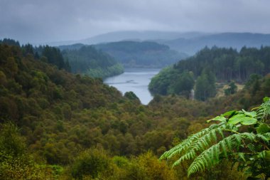Lomond Gölü ve Trossachs Ulusal Parkı 'ndaki doğa manzarası yağmurlu bir günde, İskoçya, Birleşik Krallık