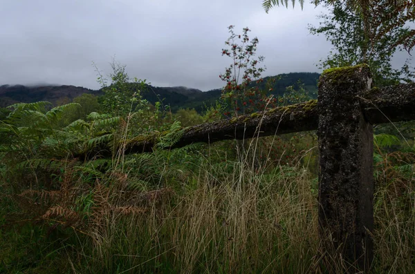 Paisaje Natural Parque Nacional Loch Lomond Trossachs Día Lluvioso Highlands —  Fotos de Stock