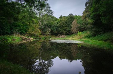 Sessiz sularla dolu göl, Fairy Glen Falls, Highlands, Rosemarkie, İskoçya, Birleşik Krallık 'ta doğal çevreyi ayna olarak yansıtır.