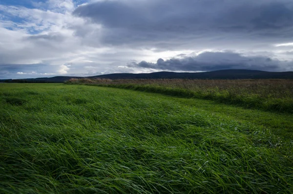 Drummossie Moor Místo Bitvy Cullodenu Letní Den Bouřlivou Oblohou Highland — Stock fotografie