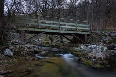 Ormandaki derenin üzerindeki demir köprü, Rascafria, Madrid, İspanya