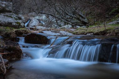Nehir taşların arasından akar ve küçük şelaleler oluşturur, Rascafria, Madrid, İspanya