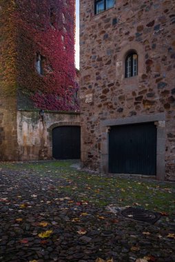 Caceres 'in eski bir kasabası olan UNESCO Dünya Mirası Şehri, Extremadura, İspanya' daki bir binanın cephesinde sonbahar yaprakları