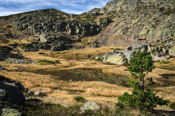 Гірський Ландшафт Гірському Хребті Гвадарама Сосною Камінням Маленьким Озером Пеналара — стокове фото