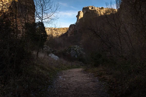 Trekking Path Trees Gorges Sweet River Pelegrina Guadalajara Spain — Stock Photo, Image