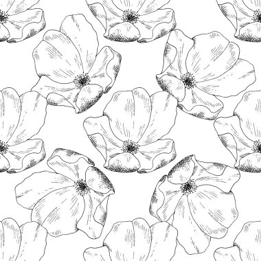 Sorunsuz kroki briar şablonu