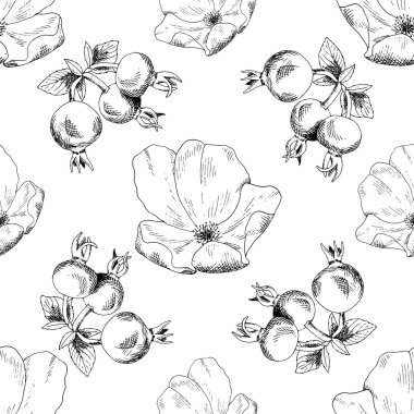 Sorunsuz kroki briar şablonu