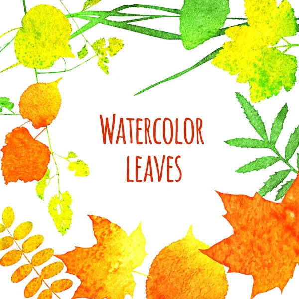 Feuilles d'aquarelle — Image vectorielle