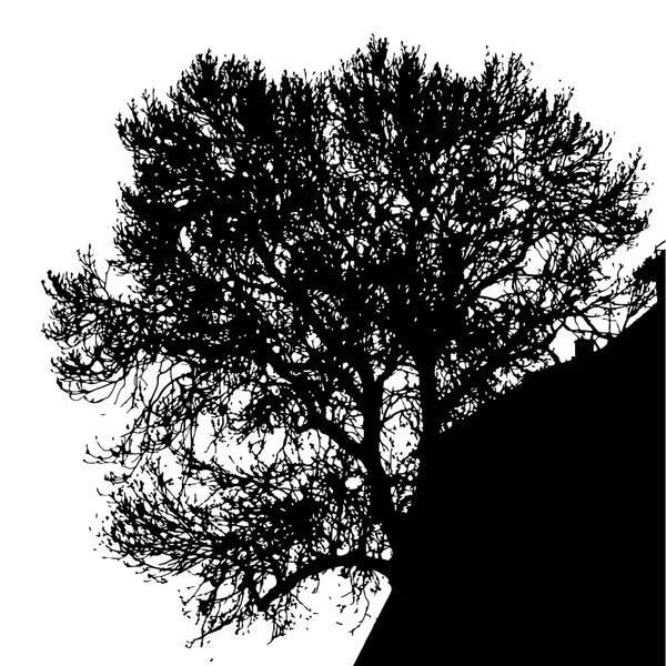 Silhouette d'arbre — Image vectorielle