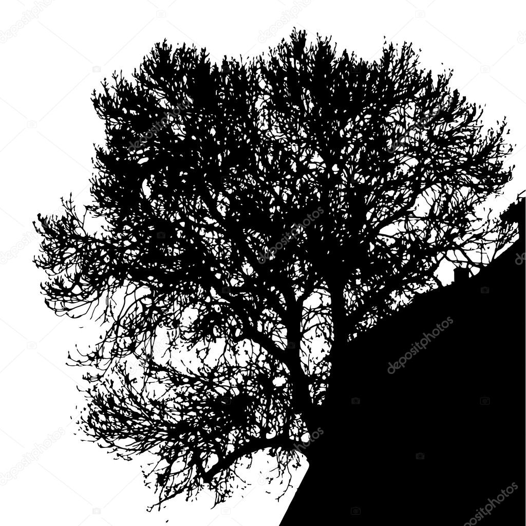 Silhouette of tree