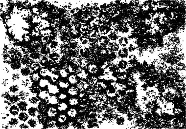 Grunge boya arka plan