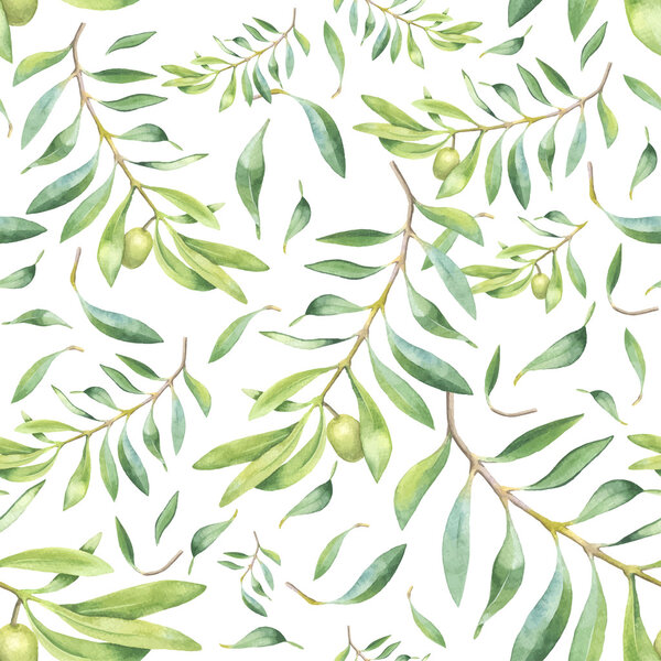 Зеленая оливковая ветвь
