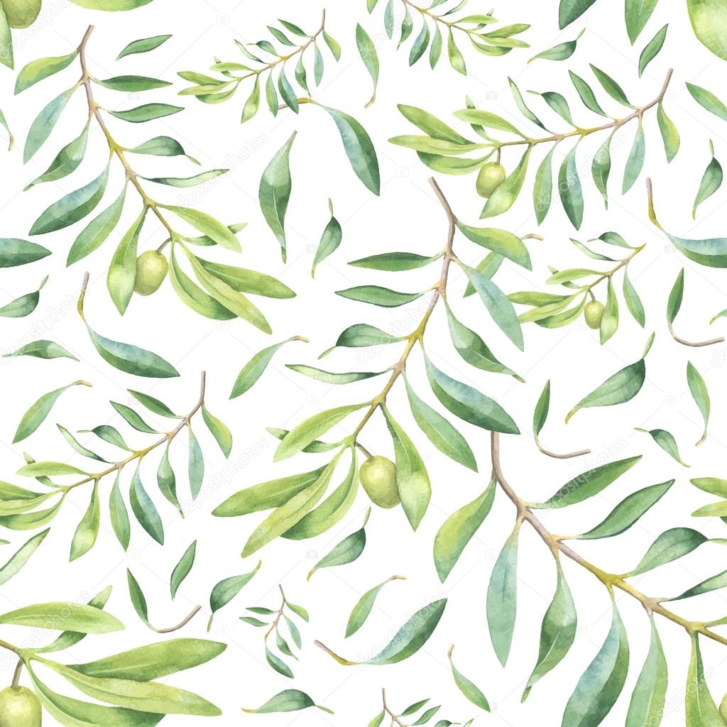 Green watercolor olive branch