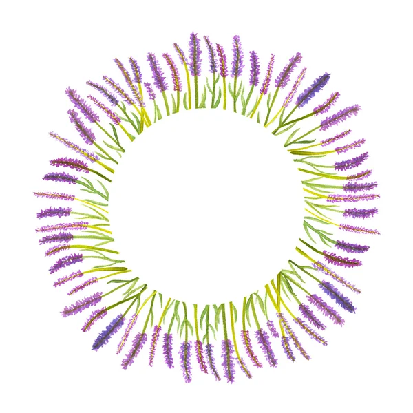 Cornice fiori di lavanda — Foto Stock