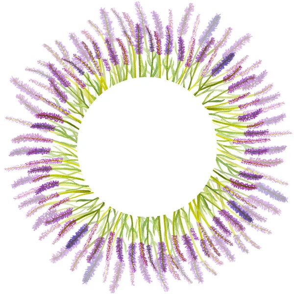 Lavanta çiçekleri çerçevesi