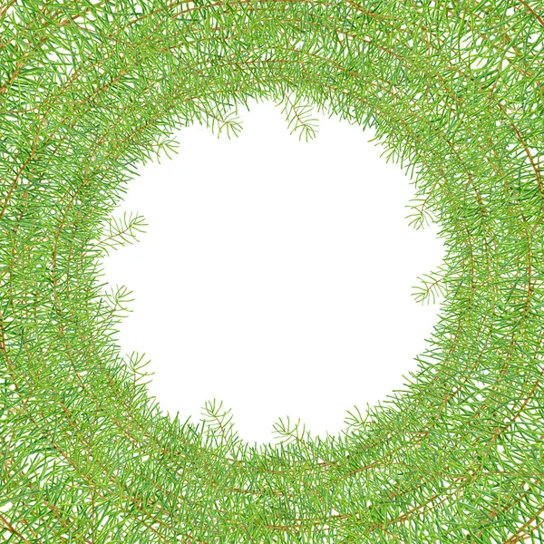 그린 수채화 프레임 소나무 가지 — 스톡 사진