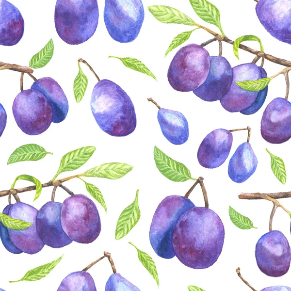 Plum takken achtergrond — Stockfoto