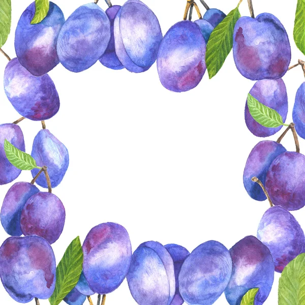 Plum branches frame. — Stock Photo, Image