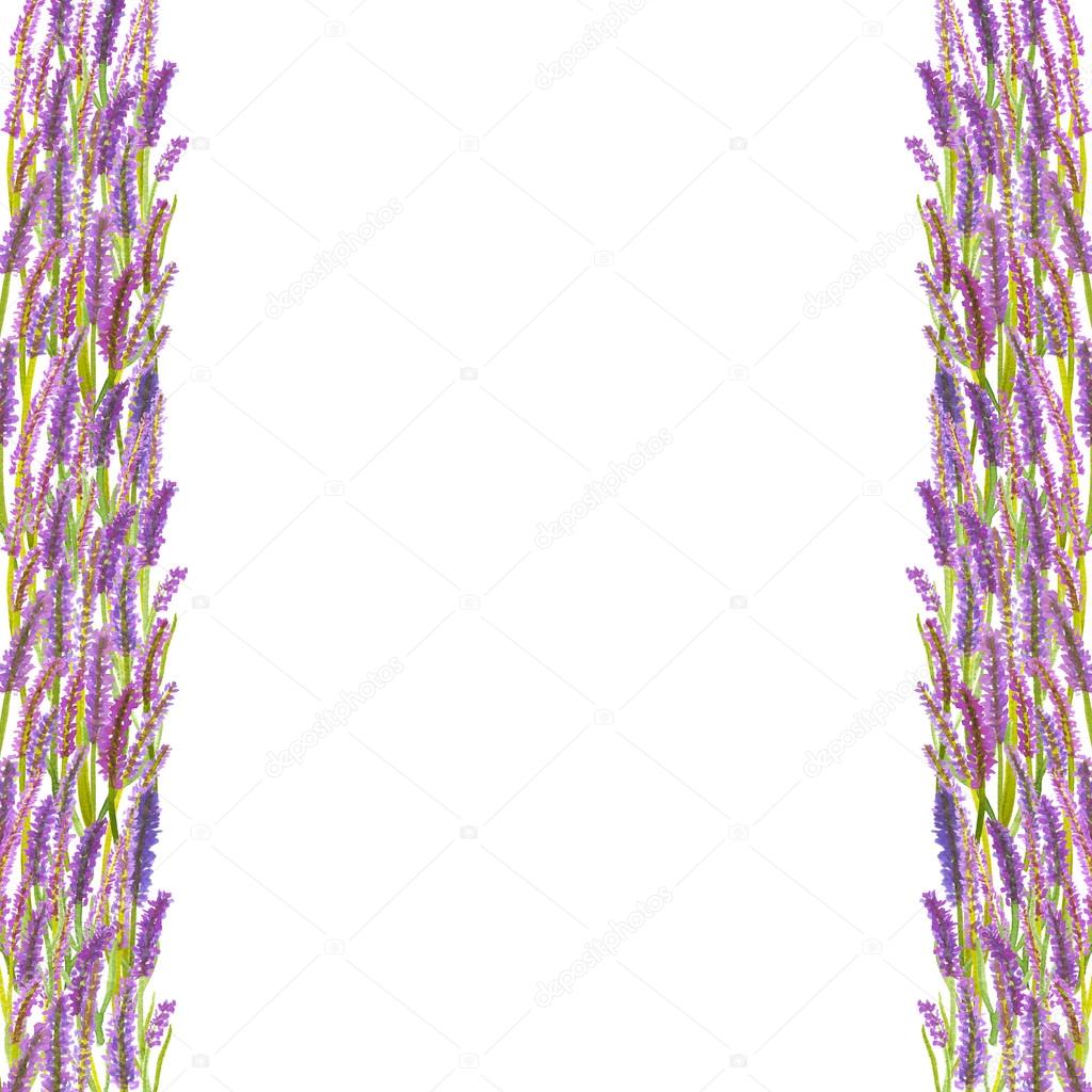 Cornice di fiori Lavanda acquerello dipinto a mano dell annata — Foto di josephine art