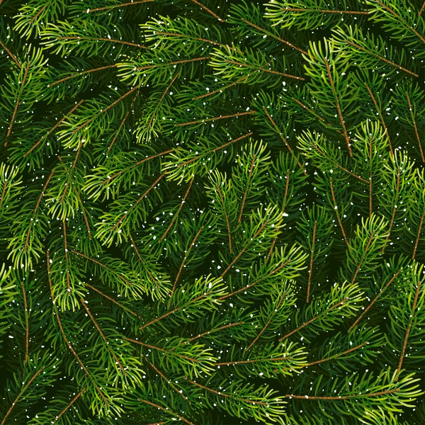 冷杉的枝条从圣诞节背景 — 图库矢量图片