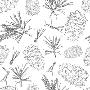 Köknar ağaç dalları ve çam kozalakları arka plan.