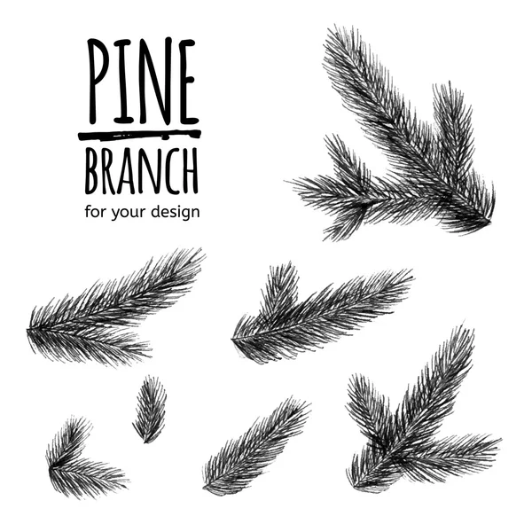 Ensemble de branches de sapin — Image vectorielle