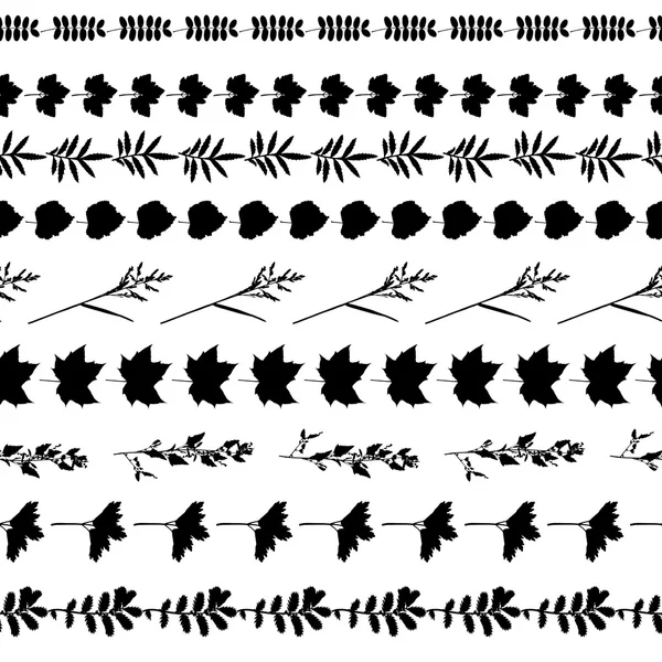 Ensemble de bordures florales — Image vectorielle