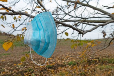 Sonbaharda ağaçta sallanan yüz maskesi