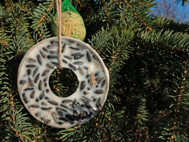 Tit ring and tit dumplings as winter food for birds