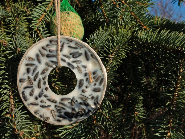 Tit ring and tit dumplings as winter food for birds