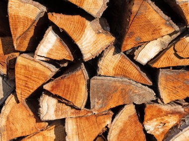 Yığılmış ve kurutulmuş odun.