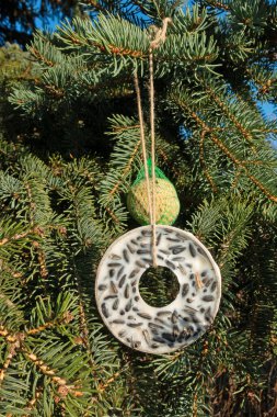 Tit ring and tit dumplings as winter food for birds